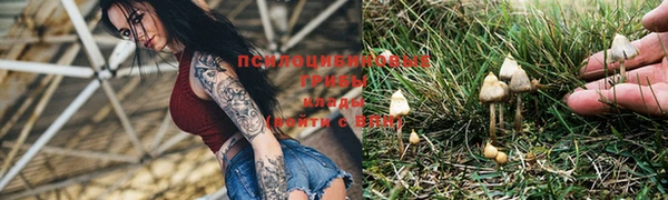мет Верхний Тагил
