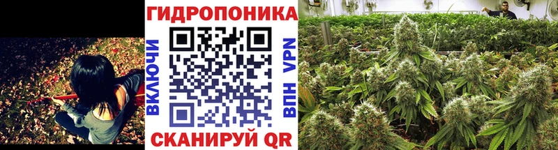 Шишки марихуана AK-47  Купить закладки  Бикин 